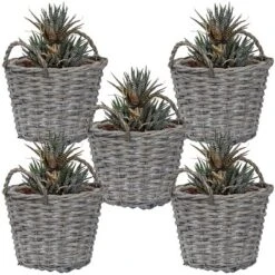 Sunnydaze Decor Sunnydaze Gray Willow Wicker Planter Baskets With Handles And Plastic Lining - Set Of 5 -Sunnydaze Decor GUEST 0804b8d5 5629 4791 8811 818dd7317279