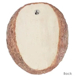 Sunnydaze Decor Sunnydaze Outdoor Polyresin Winifred And Wesley The Wise Old Owls Tree Hugger Tree Trunk Garden Sculpture Decoration - 9" - 2pc -Sunnydaze Decor GUEST 0ca4f6f5 9c41 4802 8875 d06673772317