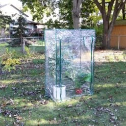 Sunnydaze Decor Sunnydaze Outdoor Deluxe Portable Large Potted Plant And Starter Tomato Plant Greenhouse With Roll-Up Door - Clear -Sunnydaze Decor GUEST 270f157e db54 4836 81bd dd140cc5b119