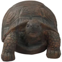 Sunnydaze Decor Sunnydaze Indoor/Outdoor Lifelike Large Tanya The Tortoise Patio Garden Yard Entryway Decorative Statue - 20" -Sunnydaze Decor GUEST 6efa009d 837f 4551 9559 e3d755ed9e93