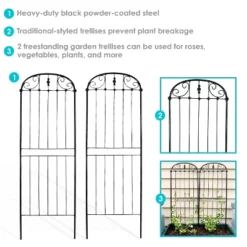 Sunnydaze Decor Sunnydaze Metal Wire Traditional Garden Trellis For Climbing Plants And Flowers - 32" H - Black - 2-Pack -Sunnydaze Decor GUEST 76ea74fa e05b 44fb a7c2 8bb86d7a7ba7