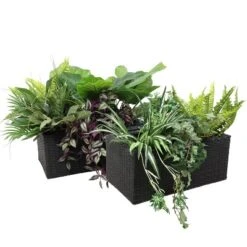 Sunnydaze Decor Sunnydaze 2-Section Rectangle Polyrattan Indoor Planters - 21.5" W X 11.5" D X 9.25" H - 2-Pack -Sunnydaze Decor GUEST a2a12e3f ad7a 474f 9b28 5e3620d29827
