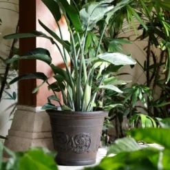 Sunnydaze Decor Sunnydaze Indoor/Outdoor Patio, Garden, Or Porch Weather-Resistant Double-Walled Arabella Flower Pot Planter - 16" - Rust Finish -Sunnydaze Decor GUEST c88cce34 38e3 4a66 8c94 410131cd4d36