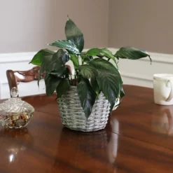 Sunnydaze Decor Sunnydaze Gray Willow Wicker Planter Baskets With Handles And Plastic Lining - Set Of 5 -Sunnydaze Decor GUEST de246691 46d9 4f42 8ca1 90c60a999c2b