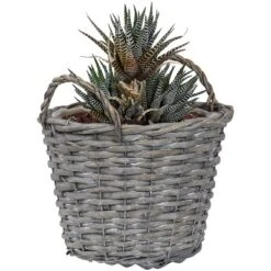 Sunnydaze Decor Sunnydaze Gray Willow Wicker Planter Baskets With Handles And Plastic Lining - Set Of 5 -Sunnydaze Decor GUEST f6797c68 5fc9 490d 93a2 e93171b2319b
