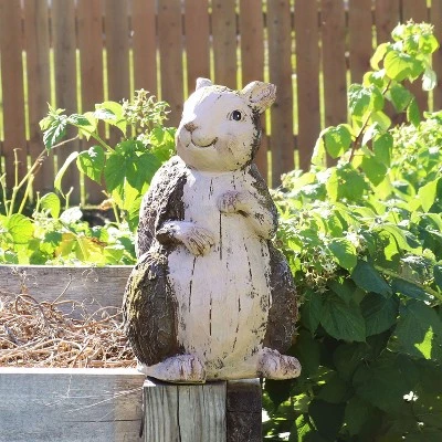 Sunnydaze Decor Sunnydaze Silas The Woodland Squirrel Statue - Indoor/Outdoor Decorative Figurine - 13.5" 3 Sunnydaze Decor Sunnydaze Silas The Woodland Squirrel Statue - Indoor/Outdoor Decorative Figurine - 13.5" - Image 3