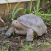 Sunnydaze Decor Sunnydaze Indoor/Outdoor Glass Fiber Reinforced Concrete Talia The Tortoise Patio Garden Yard Entryway Decorative Statue - 29"